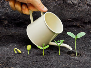 Planning for the Successful Evolution of Your Call Center